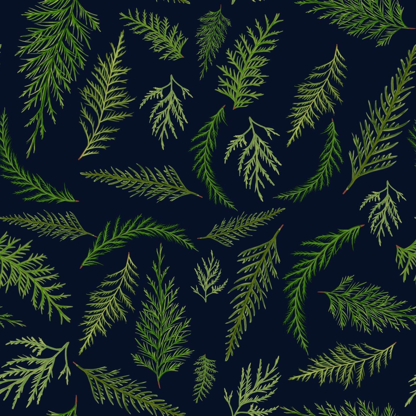 The Carpetweed 2X-6X